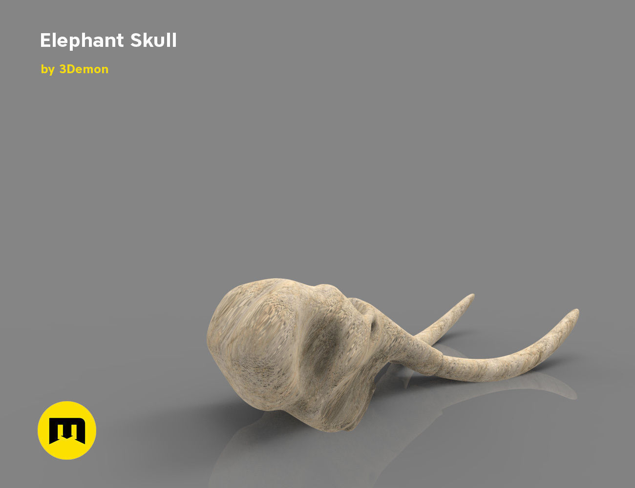 Elephant Skull and Ring Free 3D print model_7