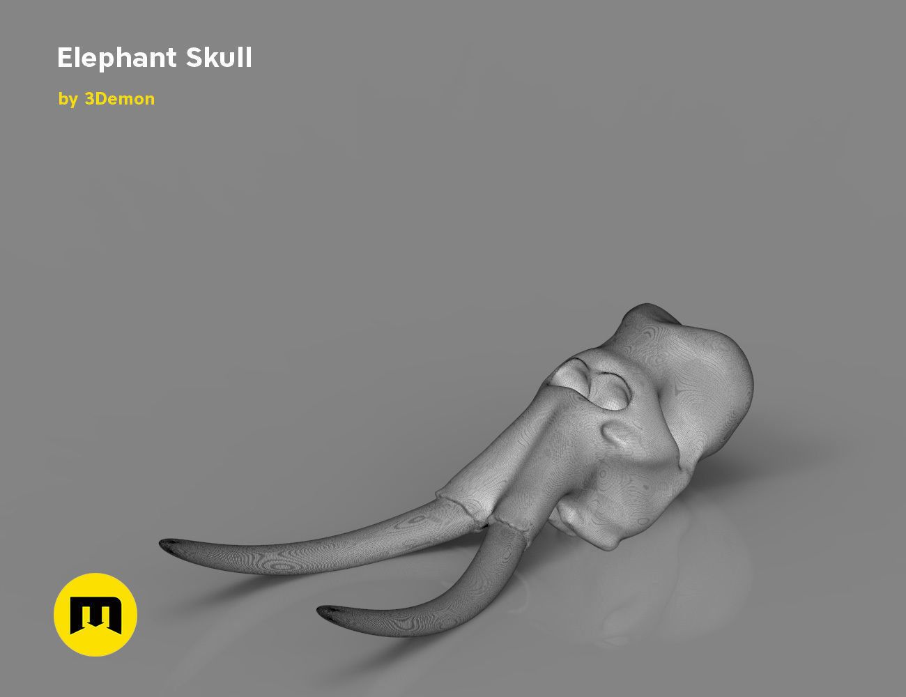Elephant Skull and Ring Free 3D print model_13
