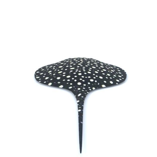 Stingray spotted Low-poly 3D model_2