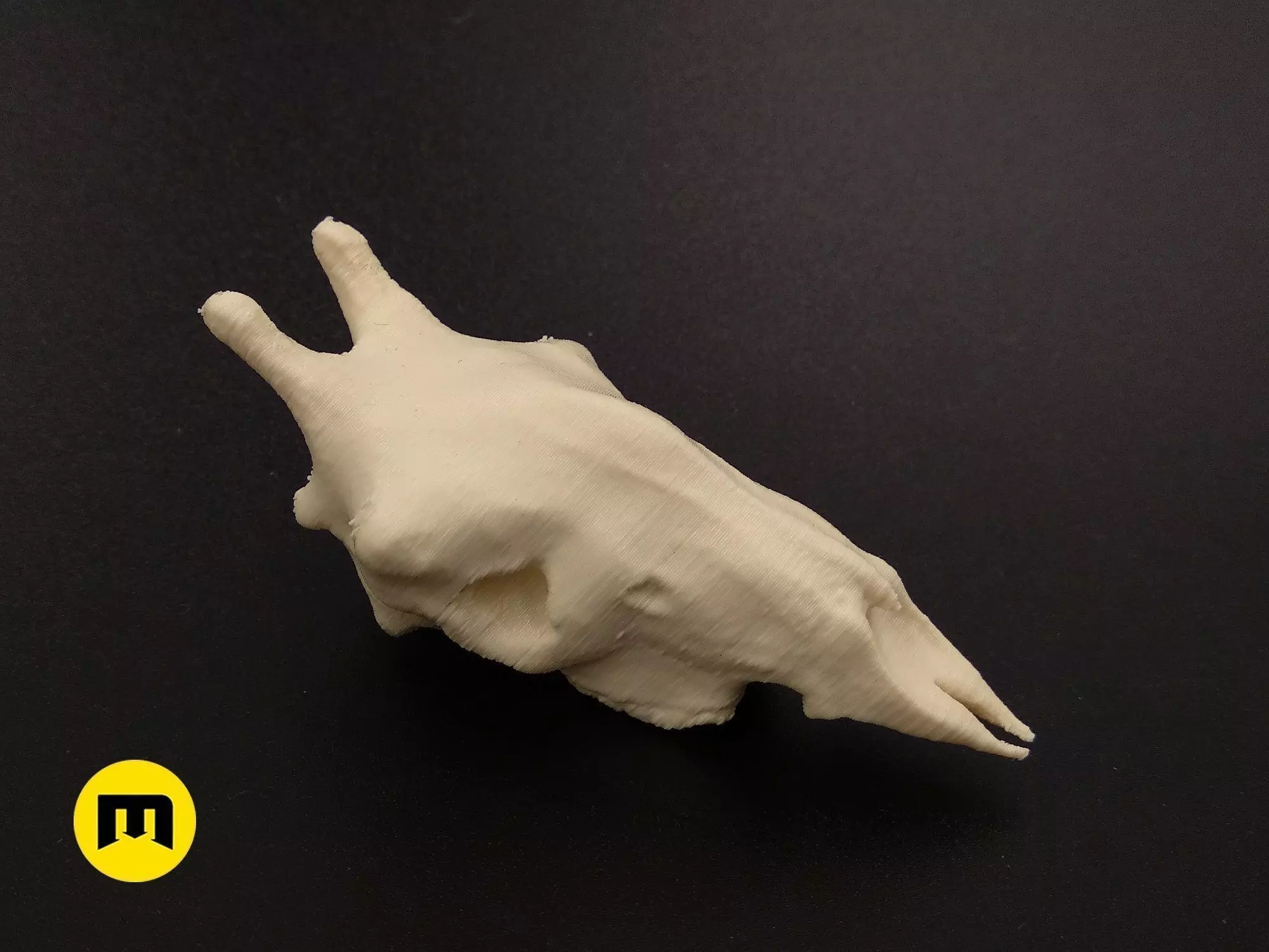 Giraffe Skull Free 3D print model