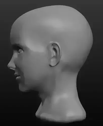 Beautiful womans face