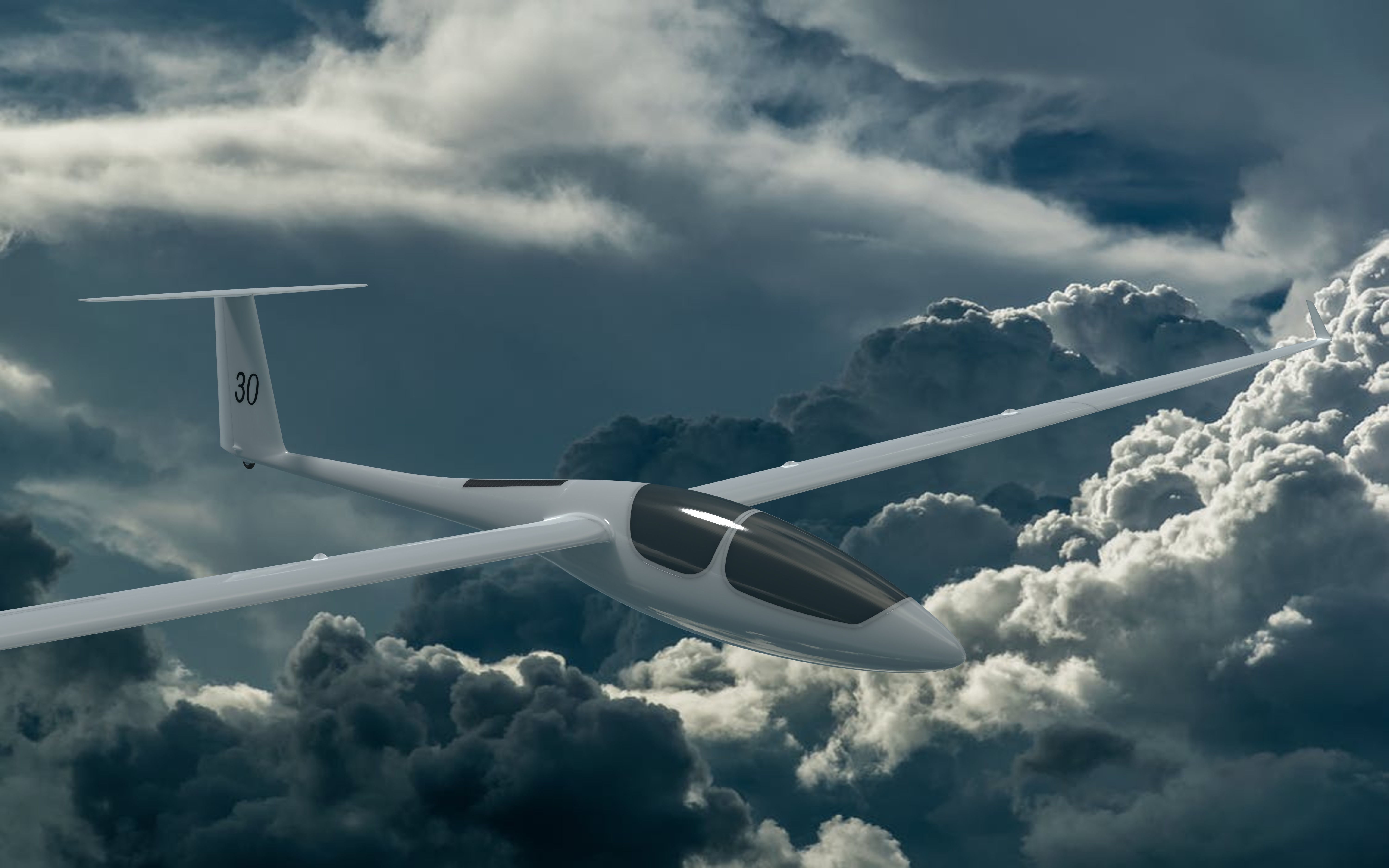 ASH30Mi Glider 3D model_1