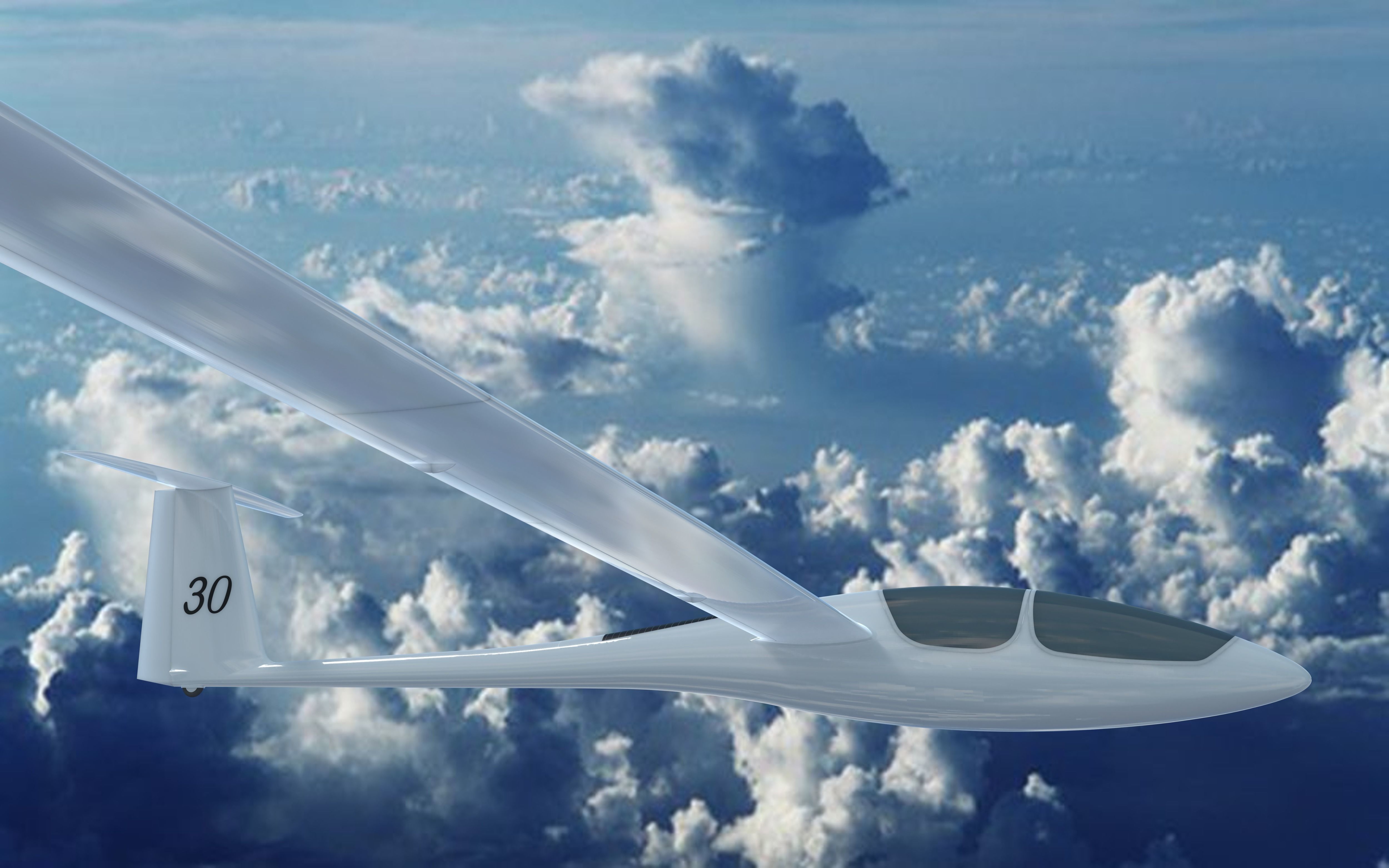 ASH30Mi Glider 3D model_2