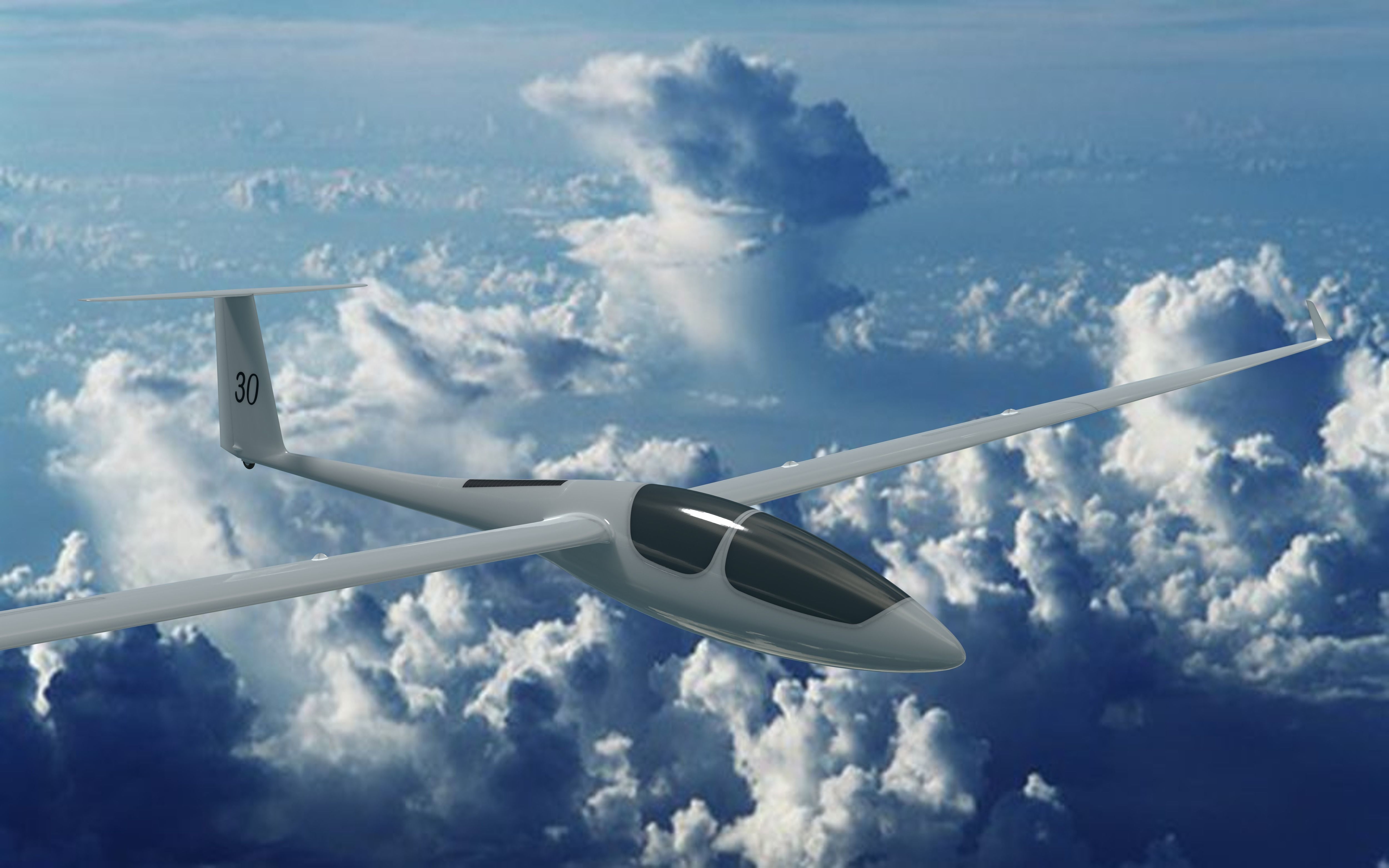 ASH30Mi Glider 3D model_7