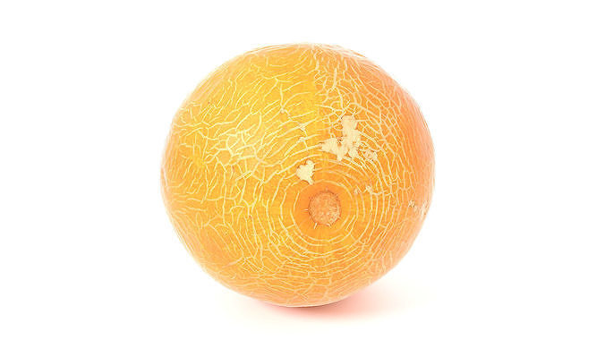 Melon Low-poly 3D model