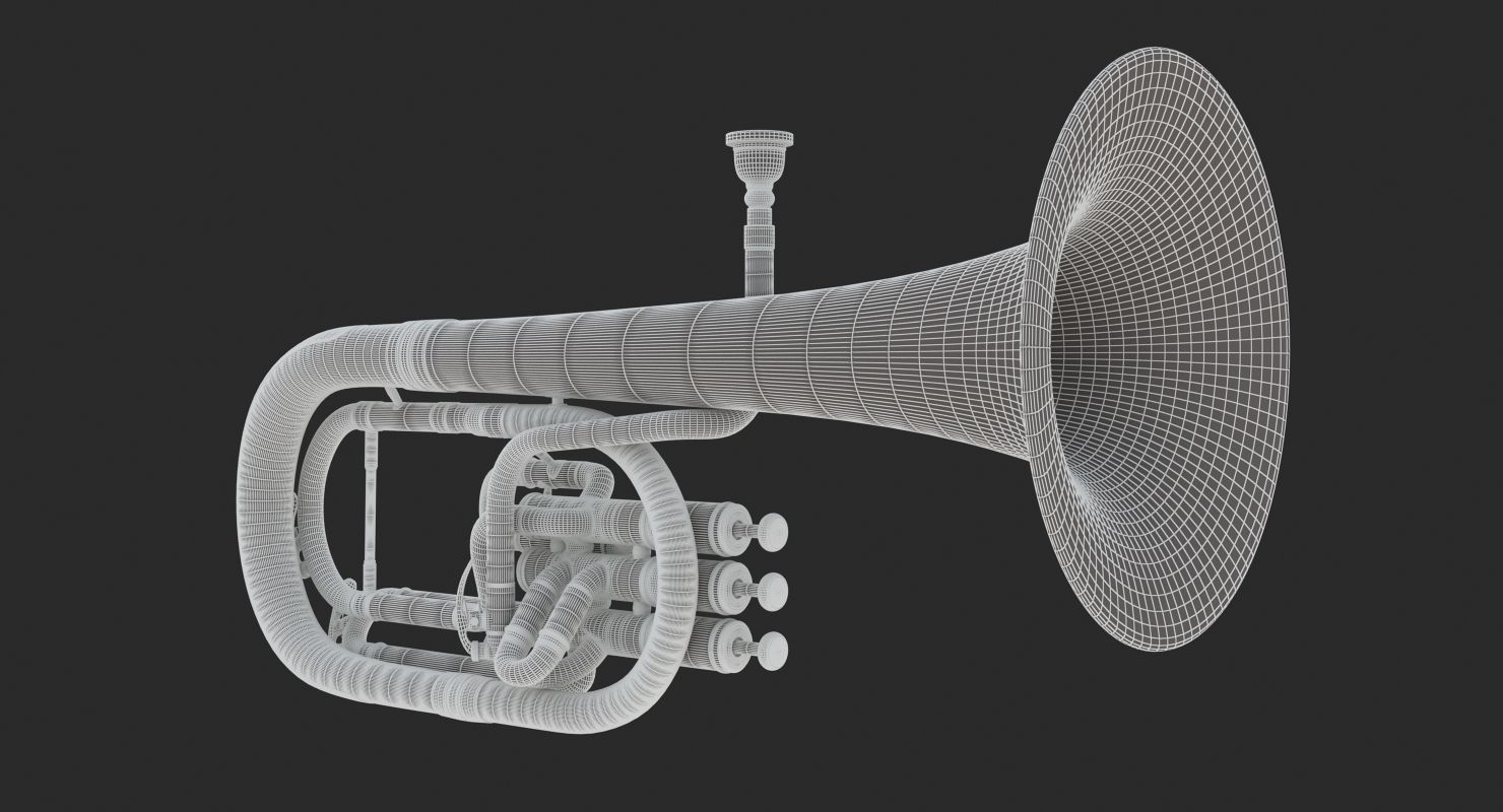 Alto Horn - Tenor Horn 3D model_10