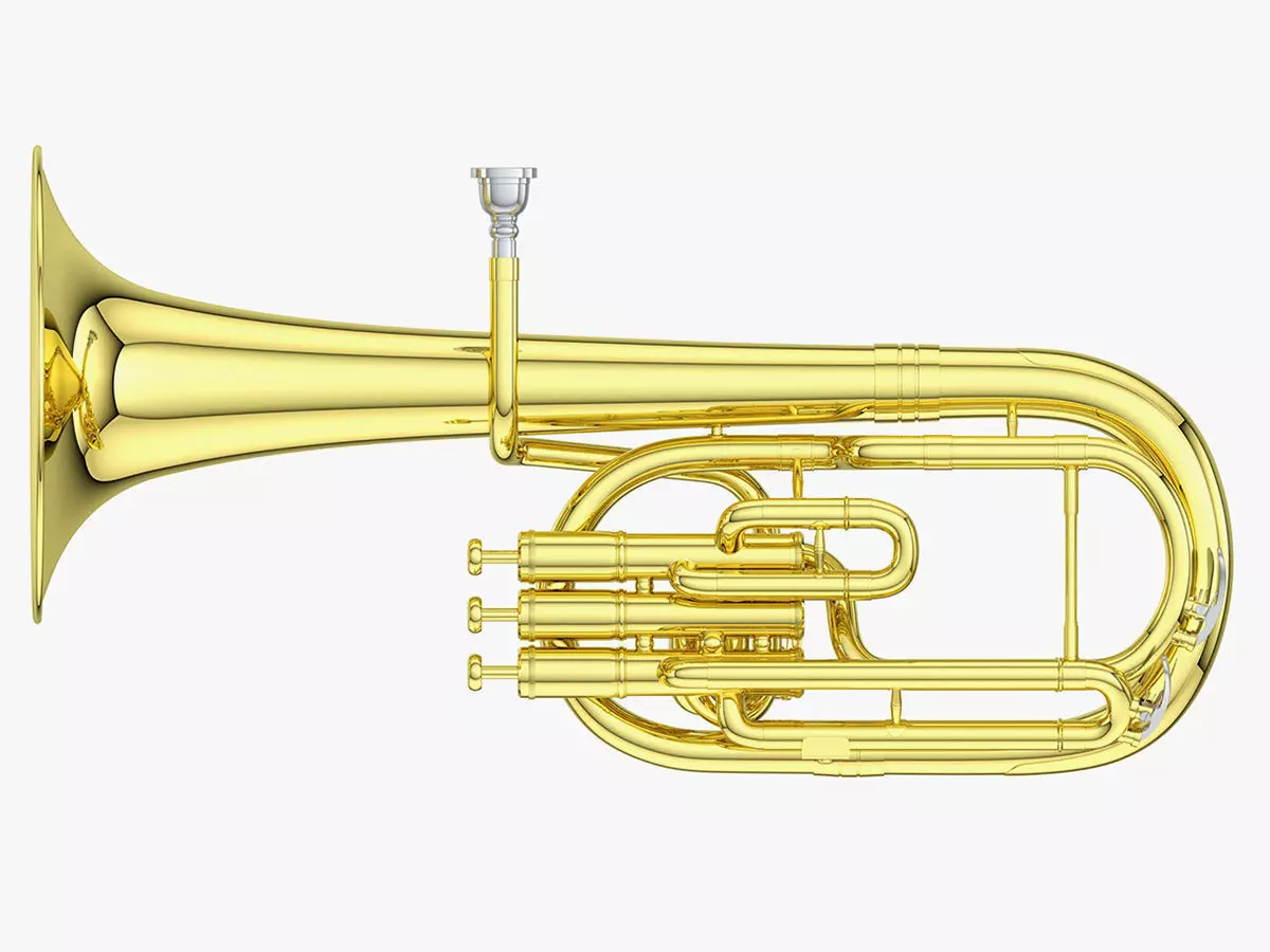 Alto Horn - Tenor Horn 3D model_0