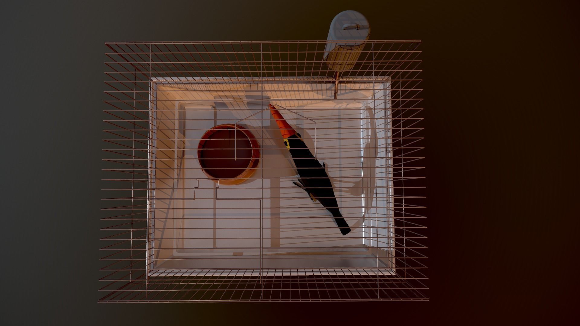 Bird cage house 3D model_6