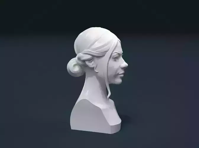 Woman Hair Style 3D print model