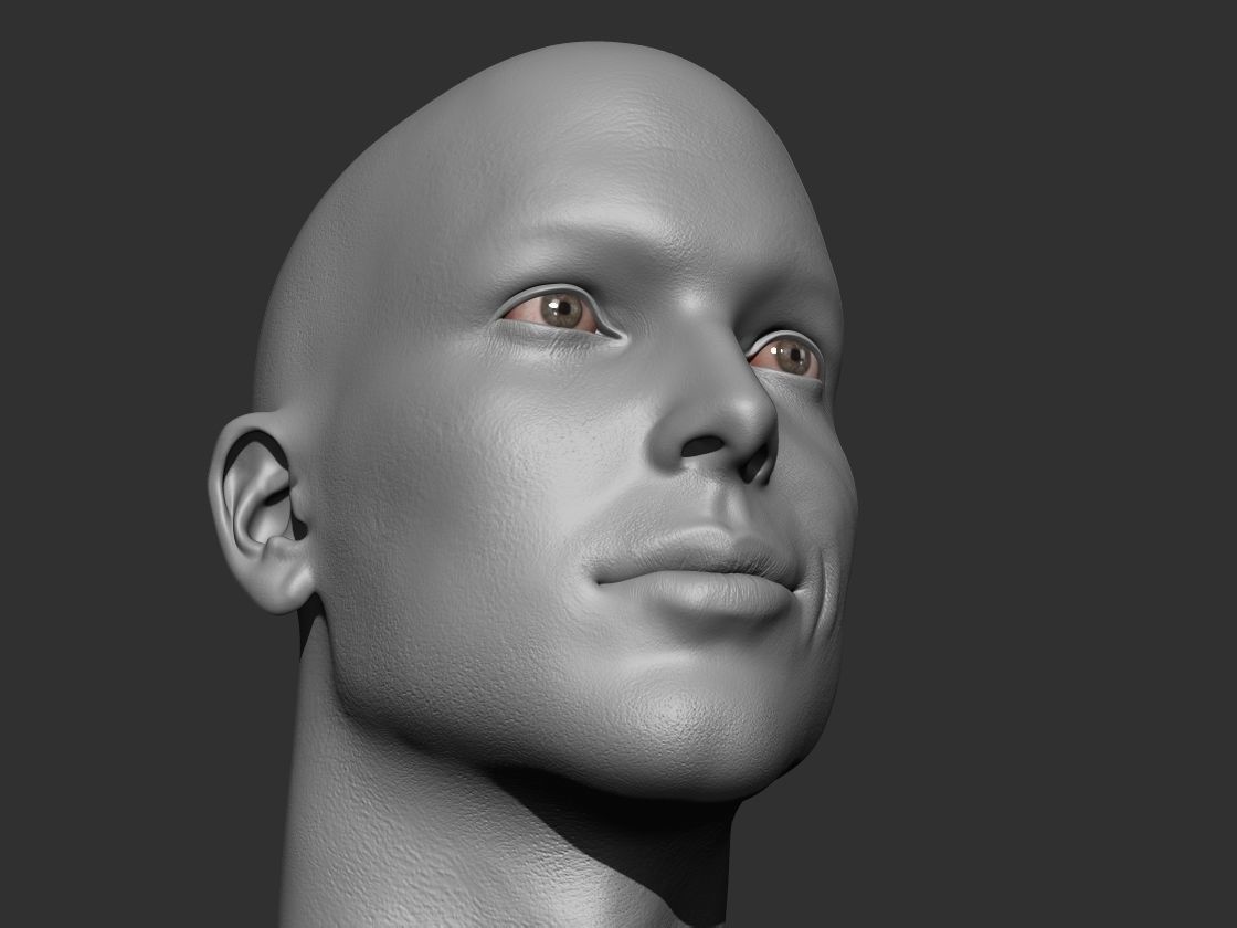 3D Head Model  3D model_3