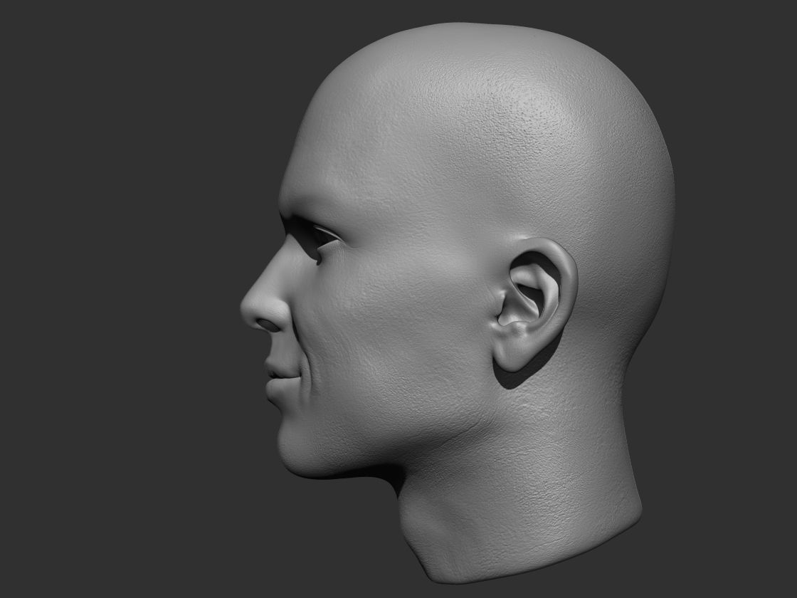3D Head Model  3D model_2