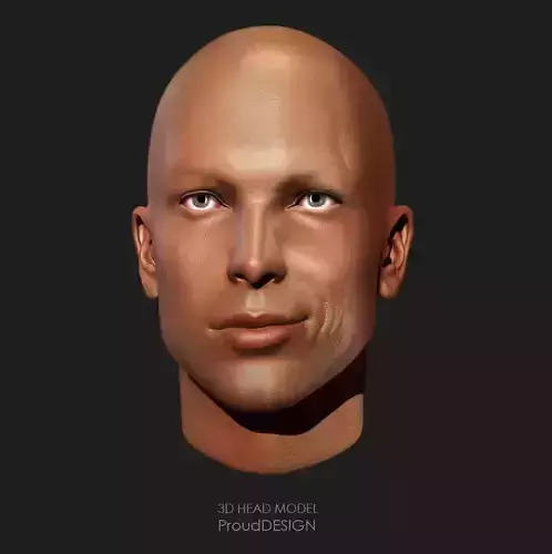 3D Head Model  3D model