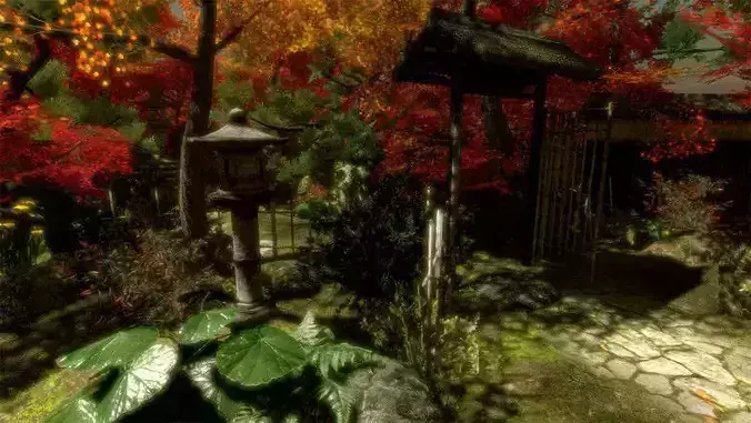 Japenese IRIS Garden Pack