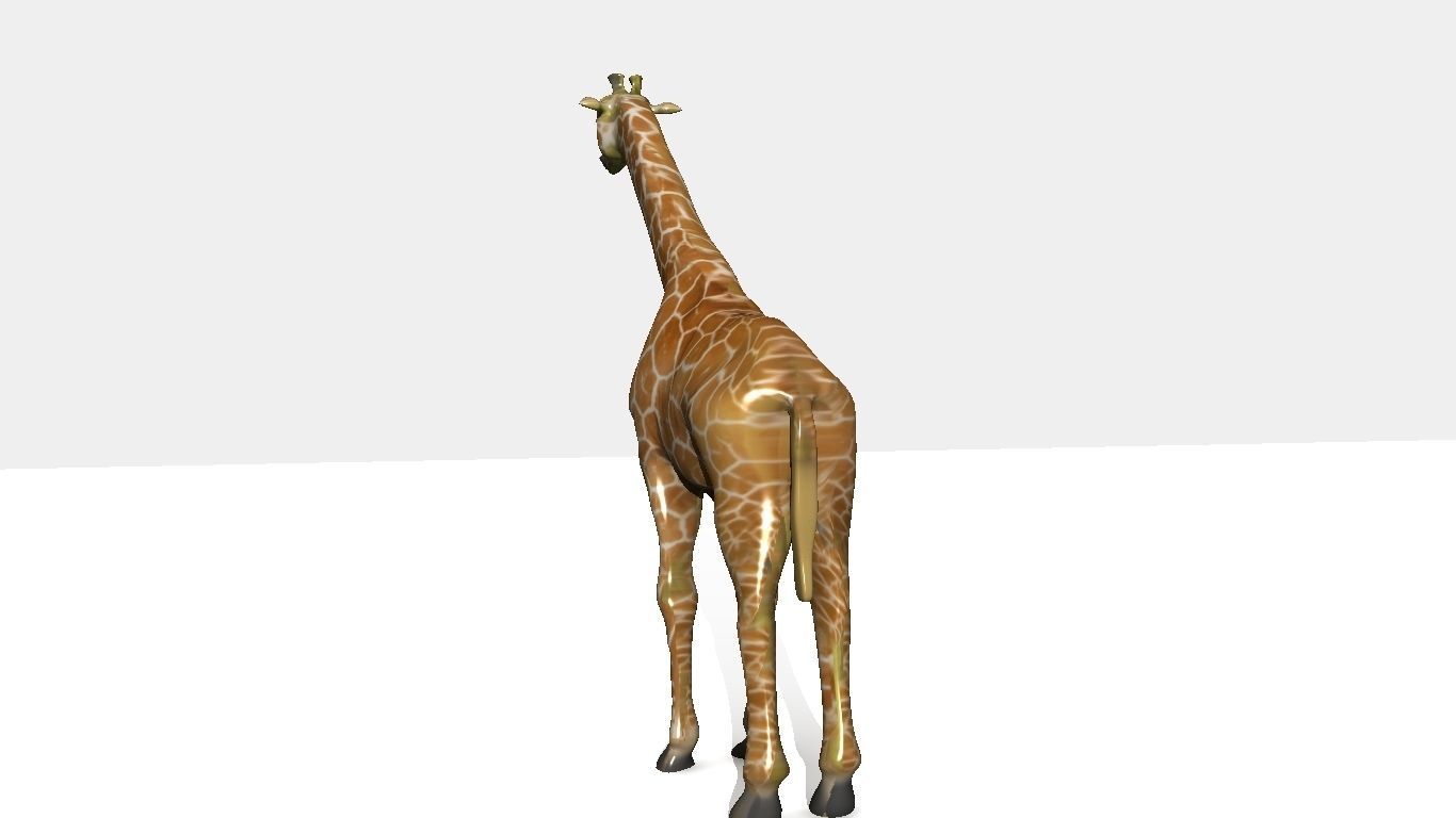 giraffee giraffe Low-poly 3D model_8