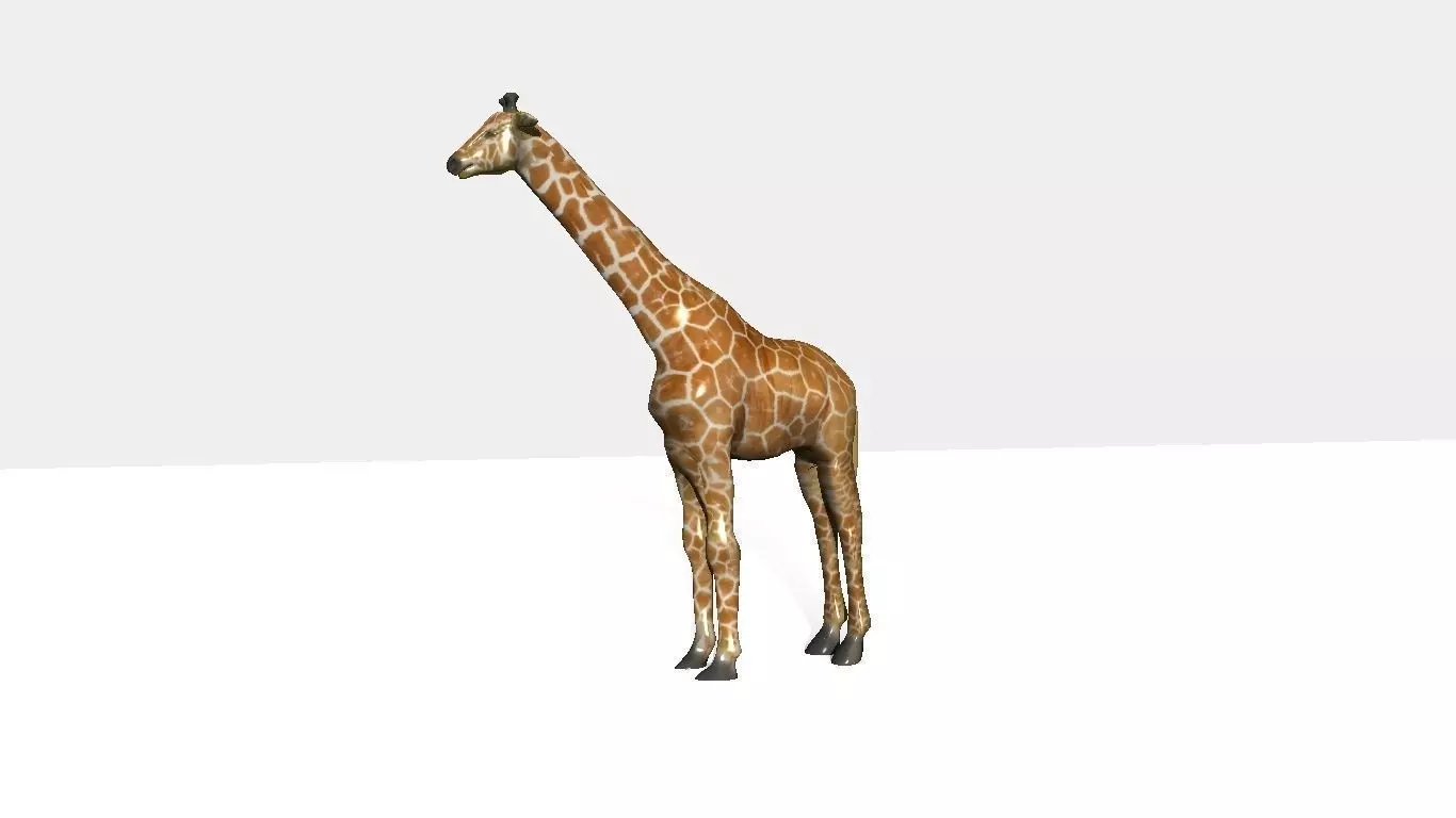 giraffee giraffe Low-poly 3D model_0