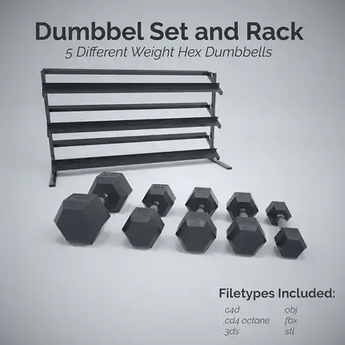 Hex Dumbbell Set and Rack