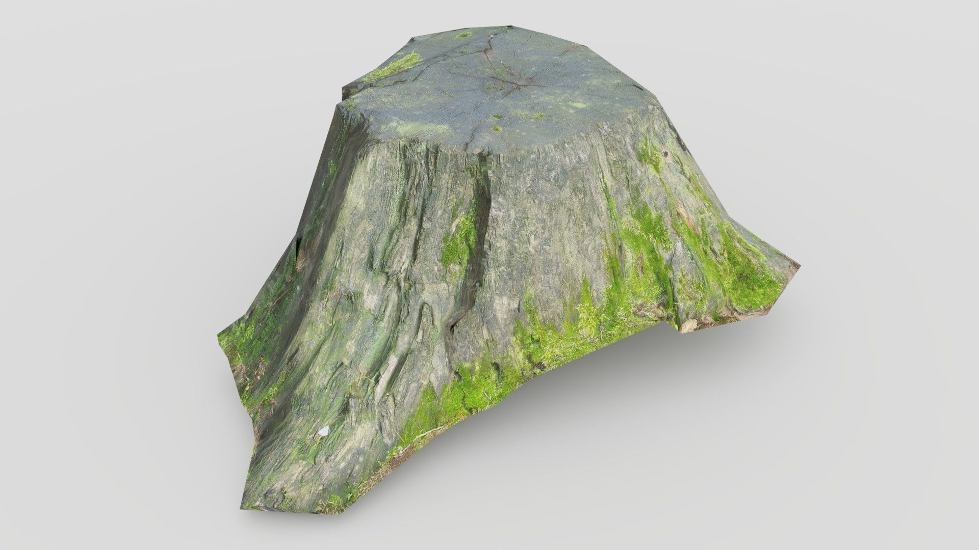 Tree Stump 1 Low-poly 3D model_4