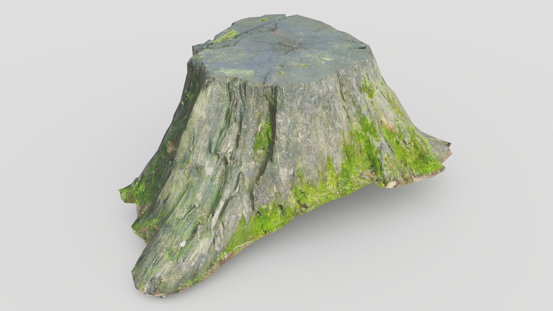 Tree Stump 1 Low-poly 3D model_2