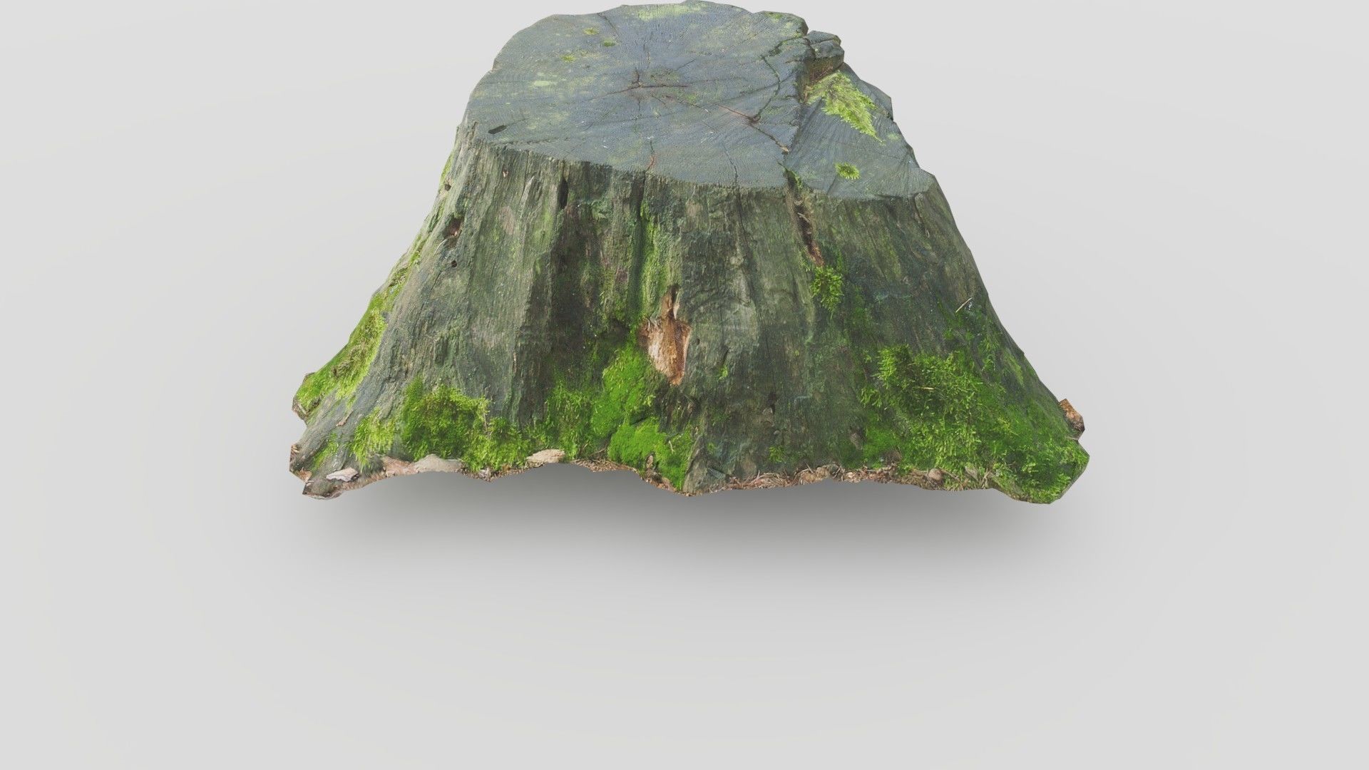 Tree Stump 1 Low-poly 3D model_7