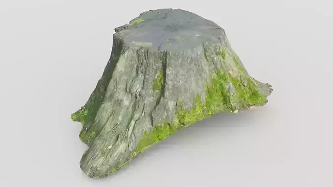Tree Stump 1 Low-poly 3D model