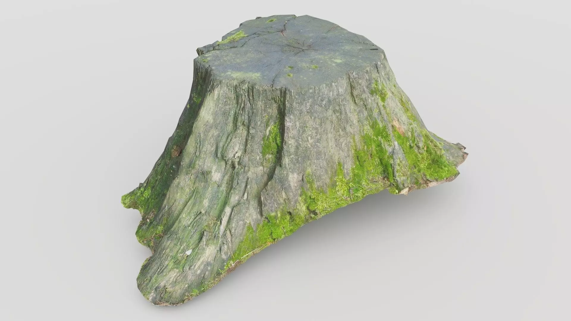 Tree Stump 1 Low-poly 3D model_0