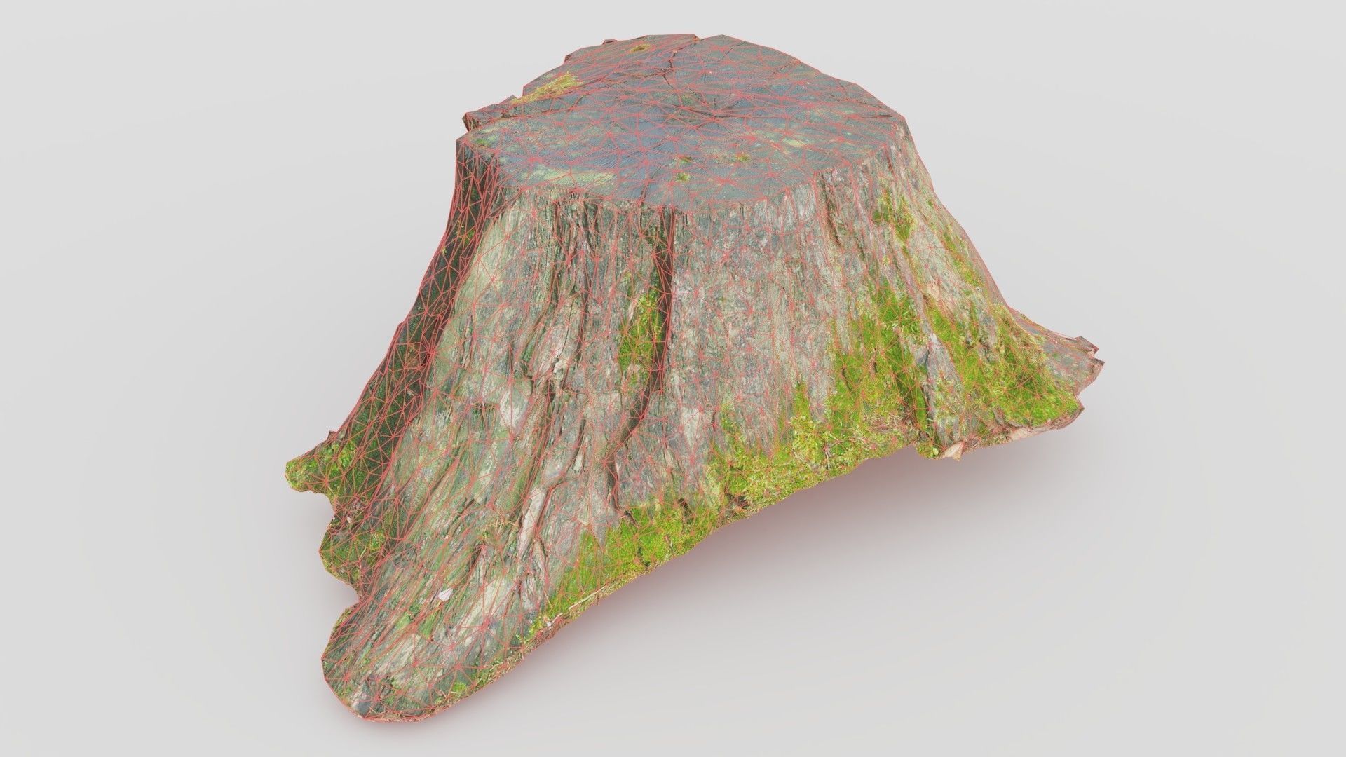 Tree Stump 1 Low-poly 3D model_1