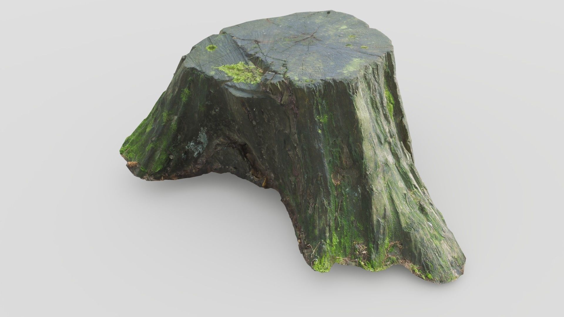 Tree Stump 1 Low-poly 3D model_9