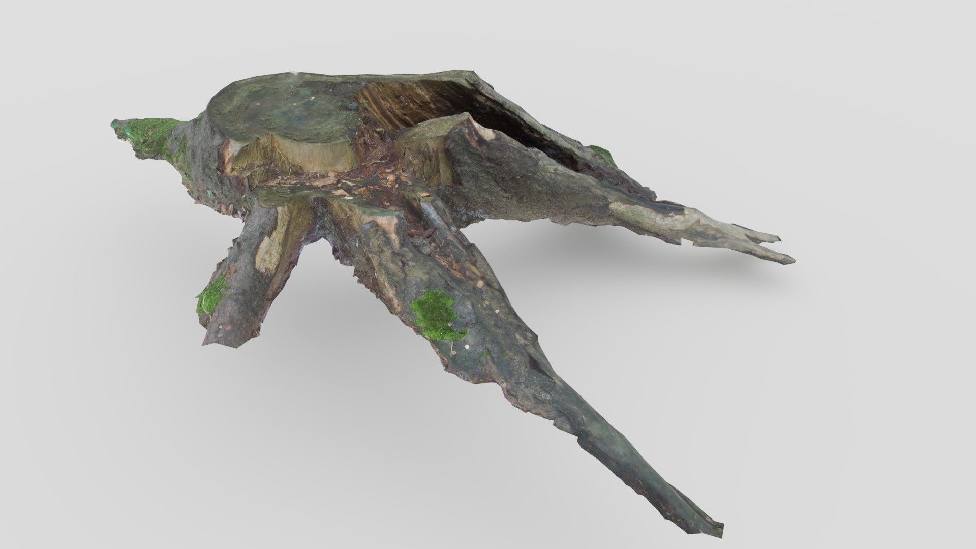 Tree Stump 2 Low-poly 3D model_6