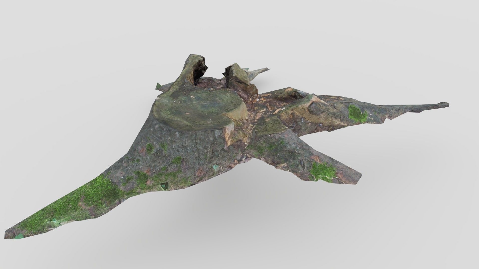 Tree Stump 2 Low-poly 3D model_2