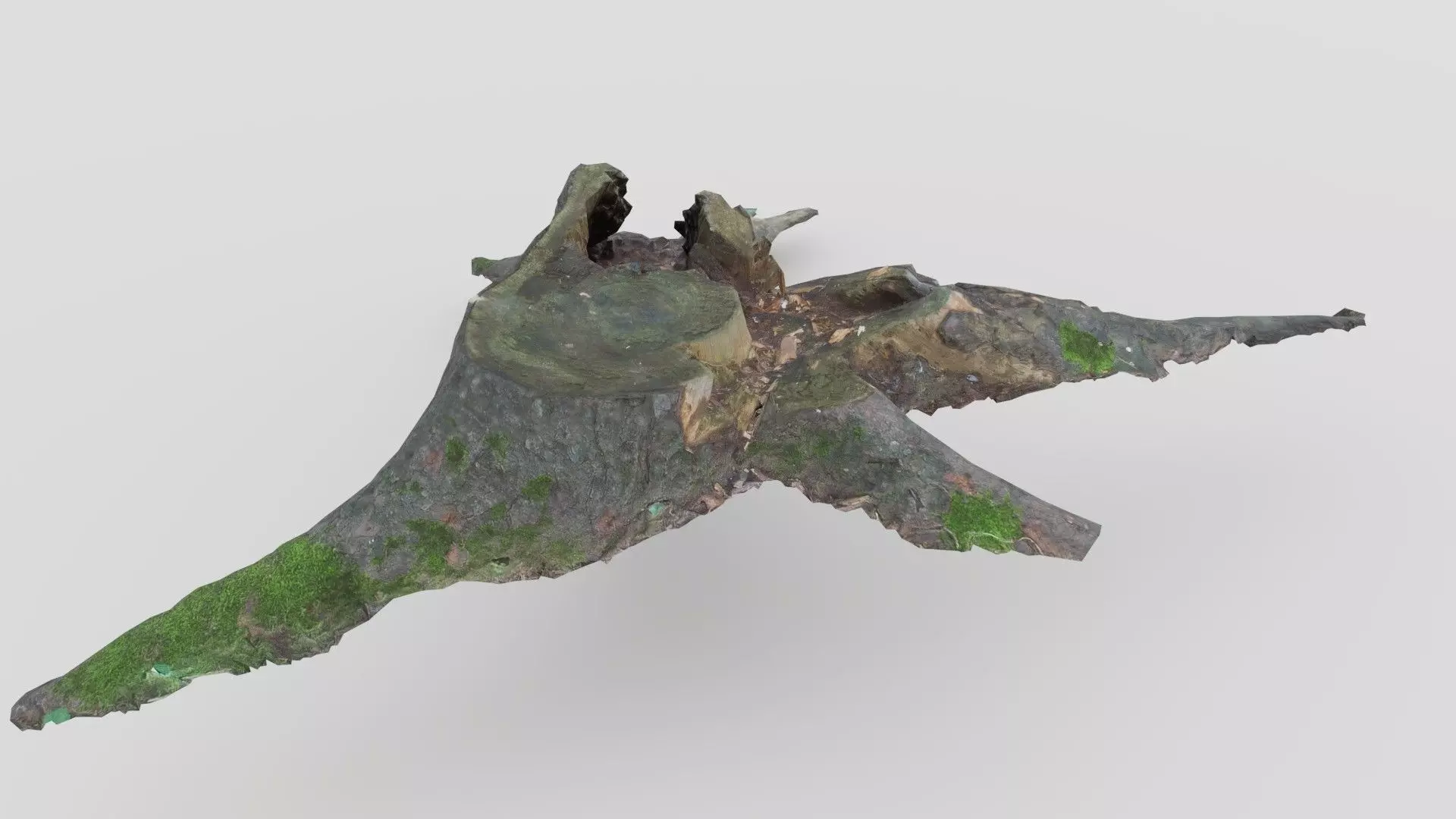 Tree Stump 2 Low-poly 3D model_0