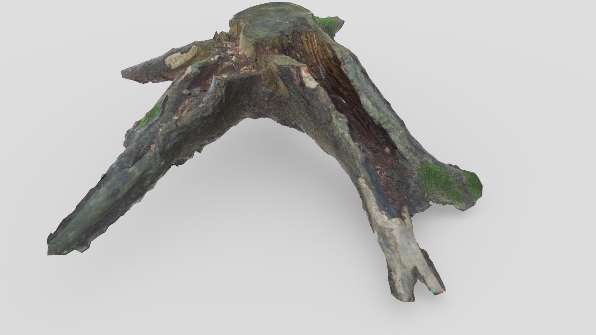Tree Stump 2 Low-poly 3D model_7