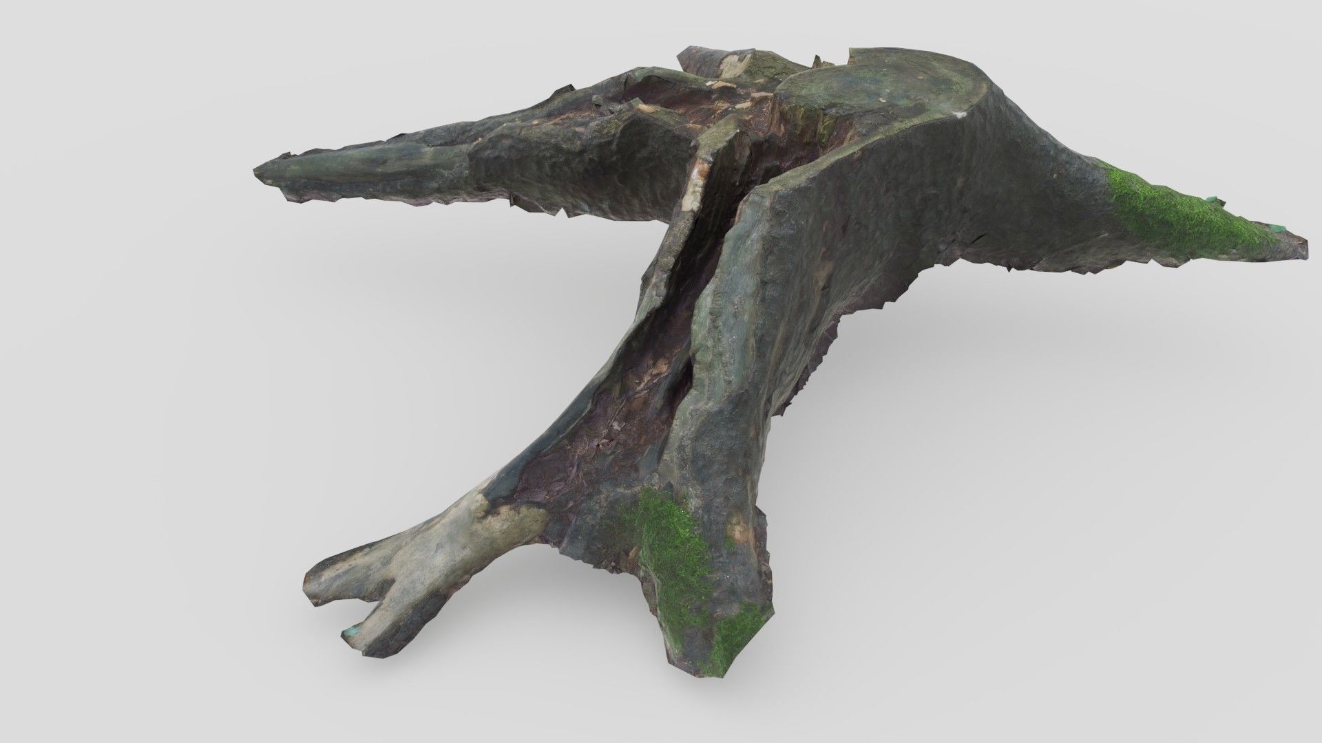 Tree Stump 2 Low-poly 3D model_8