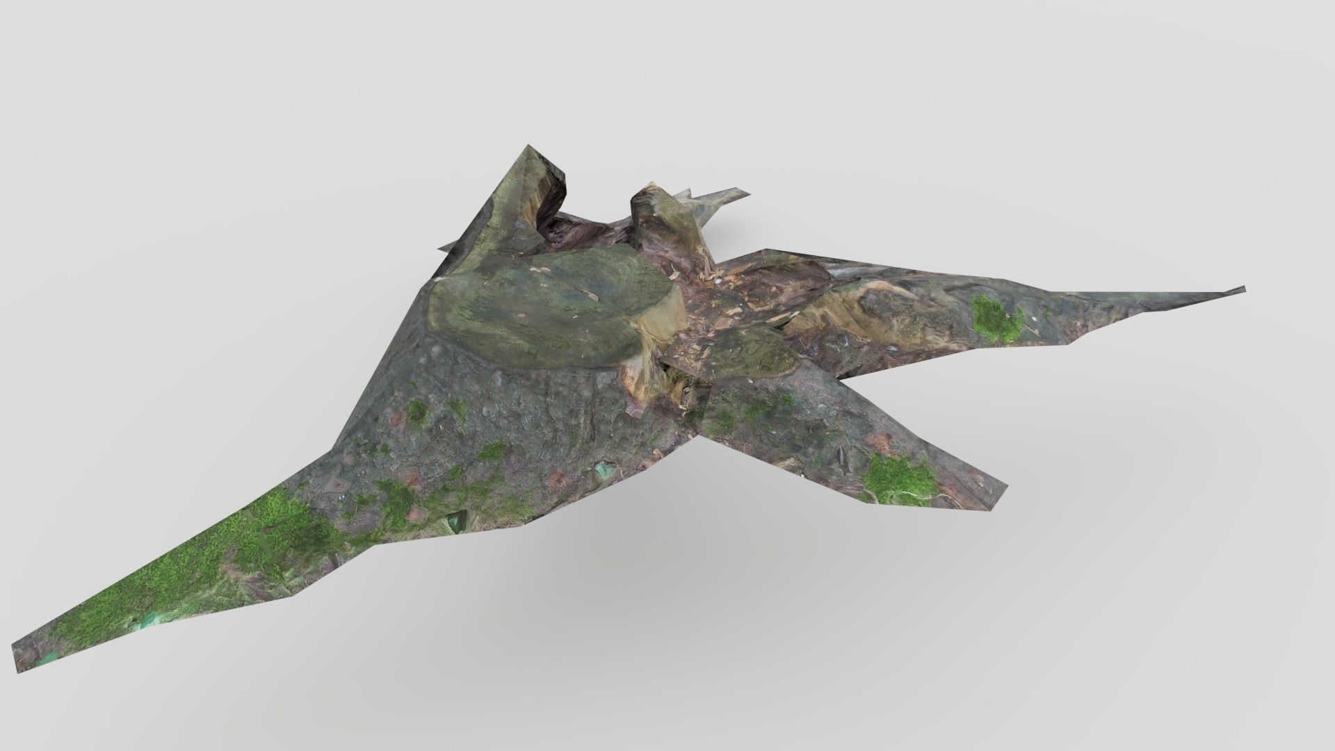 Tree Stump 2 Low-poly 3D model_4