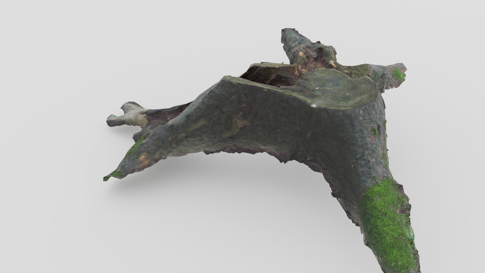 Tree Stump 2 Low-poly 3D model_9