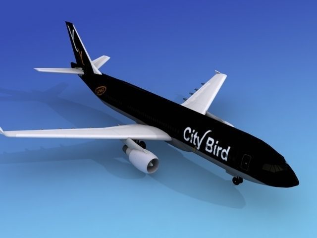 Airbus A300 City Bird 3D model_7