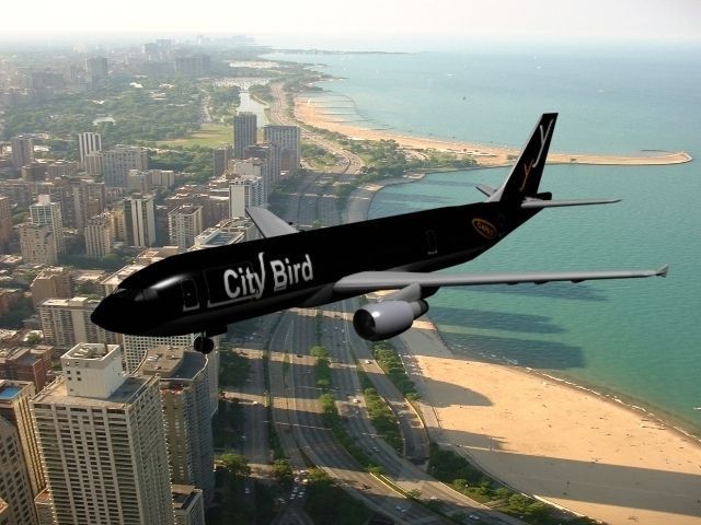 Airbus A300 City Bird 3D model_10