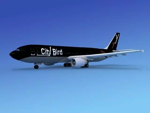 Airbus A300 City Bird 3D model_0