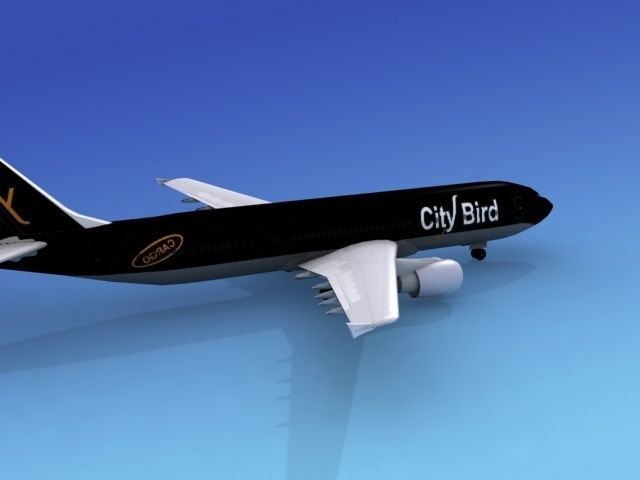 Airbus A300 City Bird 3D model_5