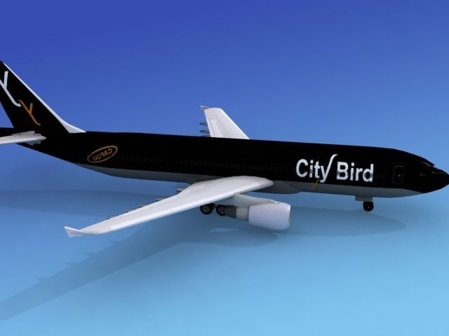 Airbus A300 City Bird 3D model_6