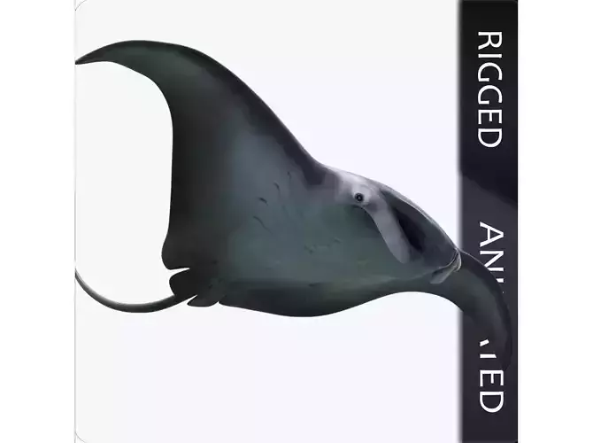 Manta Birostris Low-poly 3D model