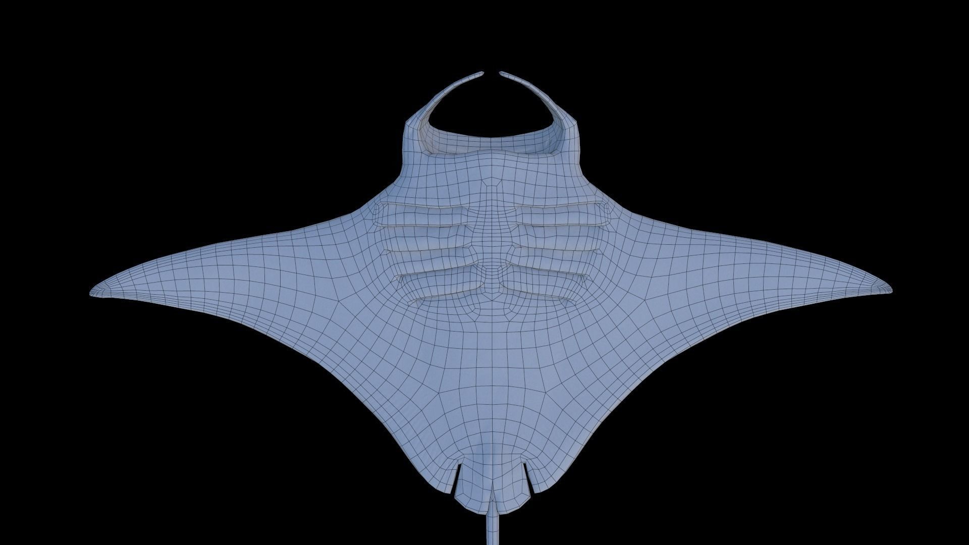 Manta Birostris Low-poly 3D model_10