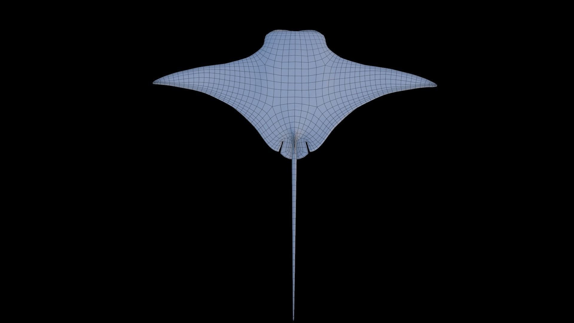 Manta Birostris Low-poly 3D model_9