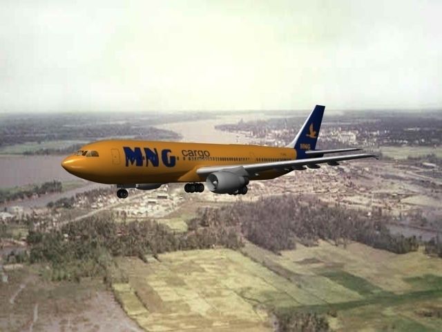 Airbus A300 MNG Cargo 2 3D model_10