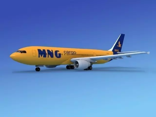 Airbus A300 MNG Cargo 2 3D model_0