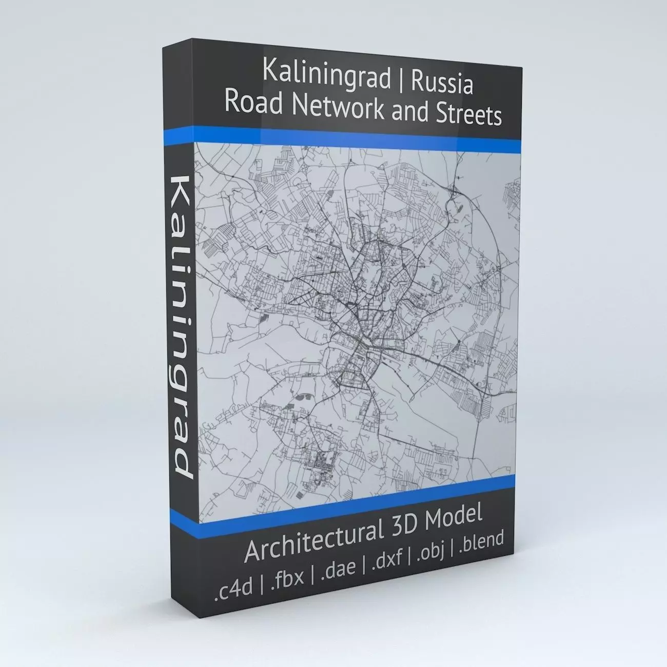 Kaliningrad Road Network and Streets 3D model_0