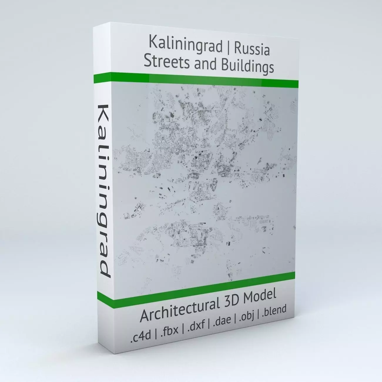 Kaliningrad Streets and Buildings 3D model_0