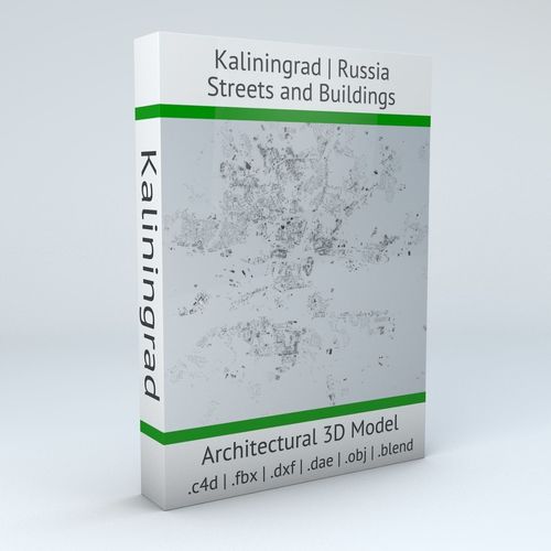 Kaliningrad Streets and Buildings 3D model