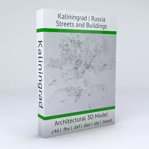 Kaliningrad Streets and Buildings