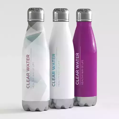 Insulated Vacuum Bottle 3D model