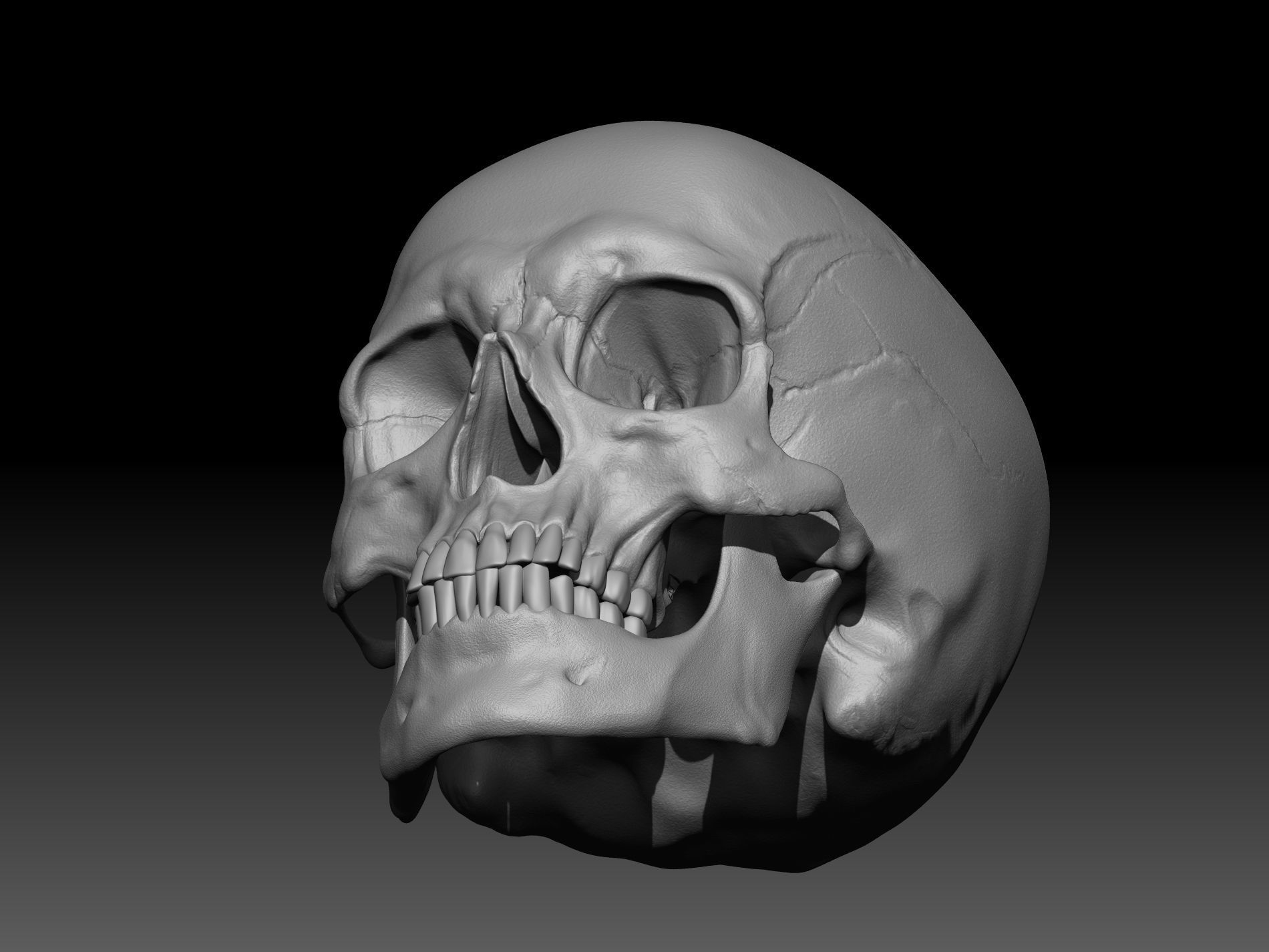 Human Skull 3D print model_7